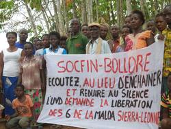 Medium_0-côte_d_ivoire_solidarity_from_villagers_near_a_socfin_plantation_in_côte_d_ivoire