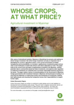 Medium_whose-crops-what-price-myanmar-040217-en