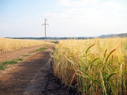 Medium_ukraine-agriculture-reconstruction-750x562