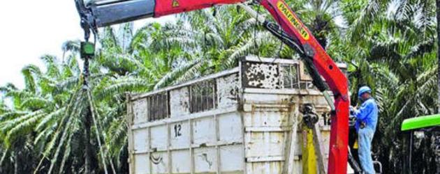 Colombia: Preparan proyecto que limita acceso extranjero a tierras 