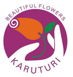 Medium_karuturi-logo