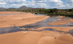 Medium_lurio_river_mozambique