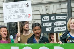 Medium_1370789130-london-hunger-summit-demo-condemns-g8-new-alliance-on-food-security_2132901