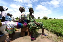Medium_au-senegal-des-agriculteurs-s-adaptent-face-au-changement-climatique_article_popin