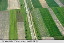 Medium_southern-harvest-a-mai-achizitionat-2700-de-hectare-de-teren-agricol-in-romania
