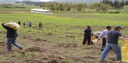 Medium_tierras-ecuador