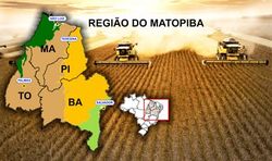 Medium_matopiba-mapa