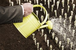 Medium_istock_000019712901_medium-1200x799