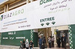 Medium_d-djazagro-2015-forte-participation-etrangere-7094b