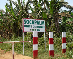 Medium_socapalm-unité-de-kienke