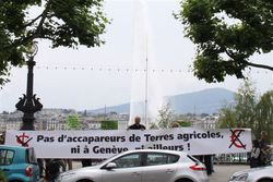 Medium_img_05071
