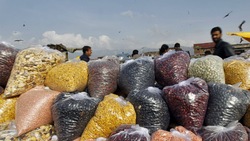 Medium_india-pulses