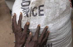 Medium_4579573_6_2800_un-sac-de-riz-humanitaire-en-juillet-2011_c7762a607f86ac5619aabf1dd24303ad-1