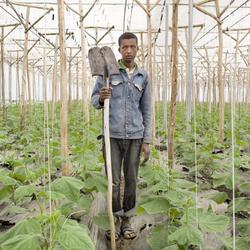 Medium_ethiopie-ouvrier-agricole