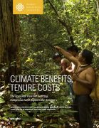Original_climate_benefits_tenure_costs