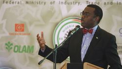 Medium_adesina
