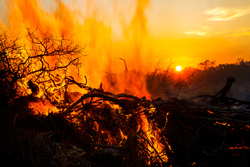 Medium_a-pile-of-logs-burn-at-sunset-bolivia