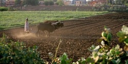 Medium_a-sudanese-farmer