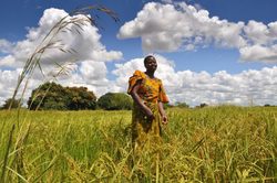 Medium_small-scale-farmer-tanzania-alun-mcdonald-oxfam-554x368
