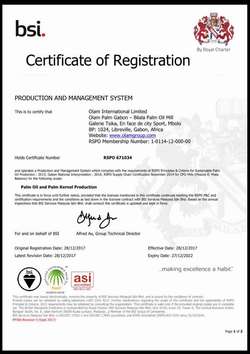 Medium_certificat-rspo-olam