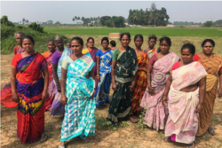 Medium_dalit_women_land_collective