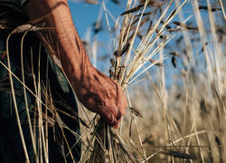 Medium_mg_6866