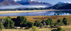 Medium_parque-nacional-patagonia-960