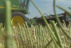 Medium_farmers-farmin-1