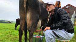 Medium_jack_ma_in_nz_dairy