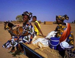 Medium_senegal-cart2