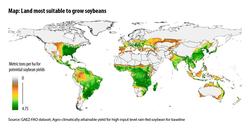 Medium_land-most-suitable-soy-beans-map