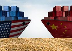 Medium_china-us-trade-war-tariffs-trump-soybean-impact-ag-nook-350x250