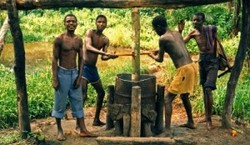 Atama Plantation de la Malaisie "mettra en valeur" 470.000 hectares au Congo sous forme de concessio