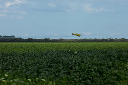 Medium_4_aerial_spraying