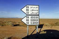 Medium_el-bayadh