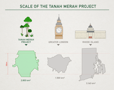 Large_scale_of_tanah_merah_project