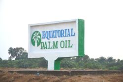 Medium_equatorial-palm-oil