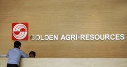 Medium_singaporegoldenagri150528-701x369