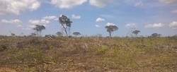 Medium_blog_brazil_deforested_farmland-1284x523
