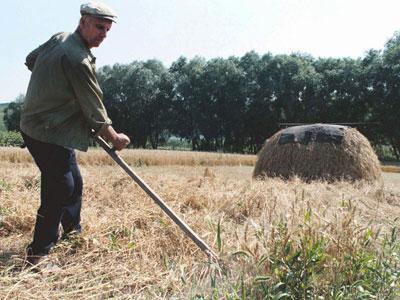 farmlandgrab.org | State planning to own at least 30% of Ukraine's farmland