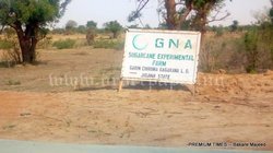 Medium_sign-post-of-great-northern-agricultural-limited-jigawa