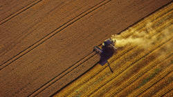 Medium_farmland