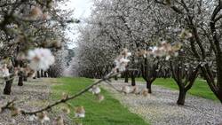 Medium_r0_252_4928_3023_w1200_h678_fmax