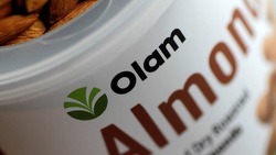 Medium_olam-almond