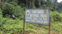 Medium_okomu-national-park