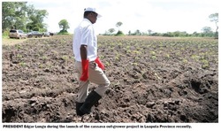 Medium_cassava-field-lungu