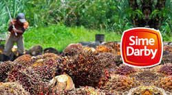 Medium_sime-darby-palm