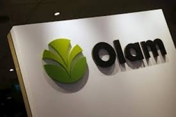 Medium_olam_3_0