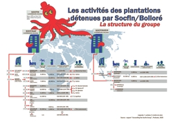 Medium_la_structure_socfin_fr_