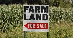 Medium_farmsale